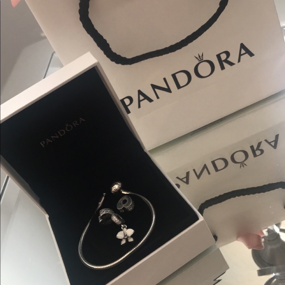 Pandora bracelet